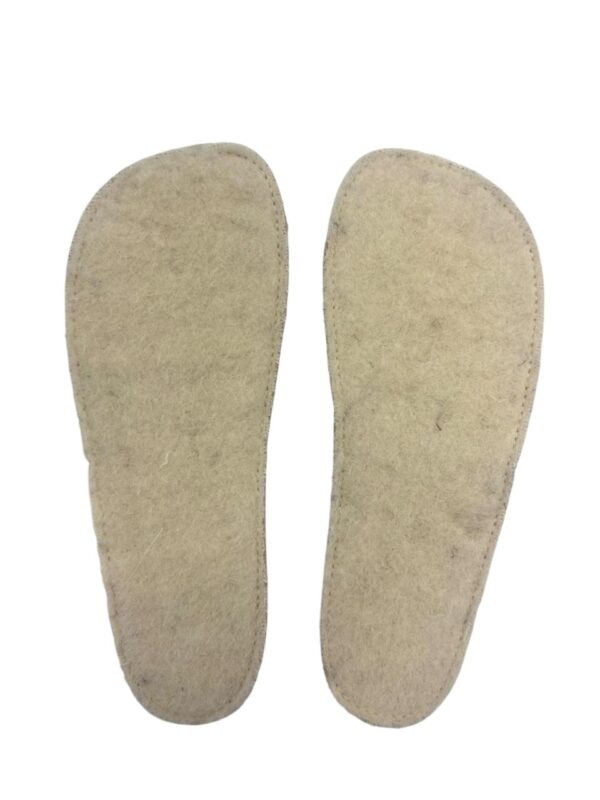 plantillas-transicion.jpge