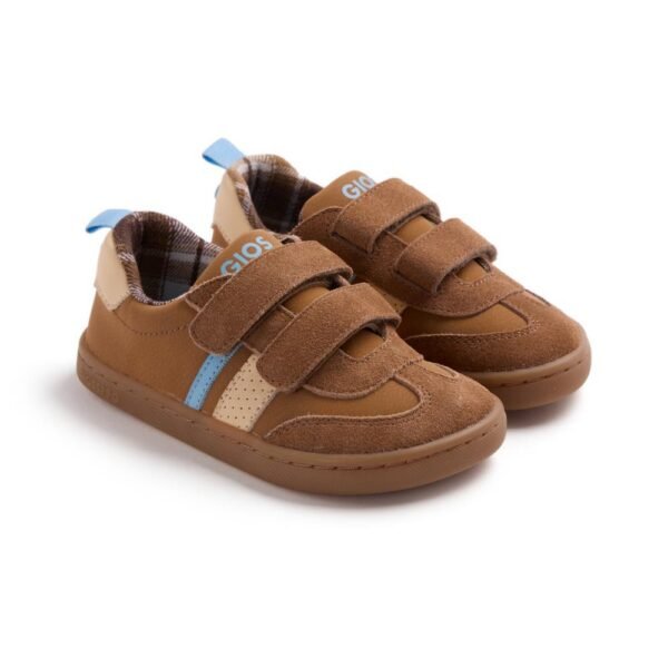 80981 Brown